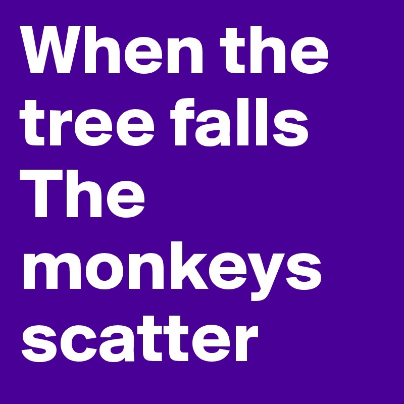 When the tree falls The monkeys scatter