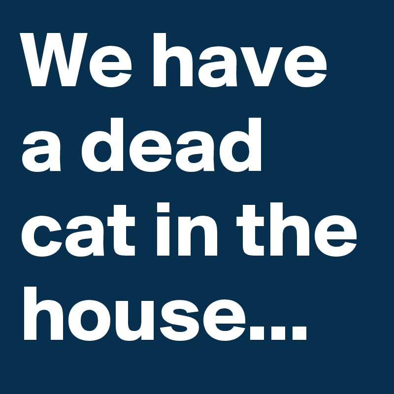 We have a dead cat in the house...