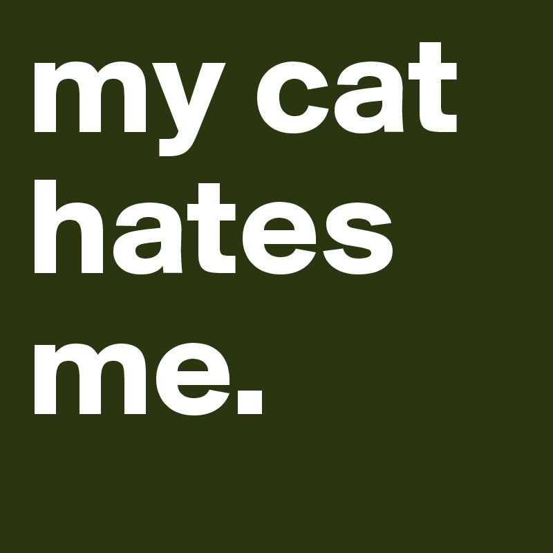 my cat hates me. 