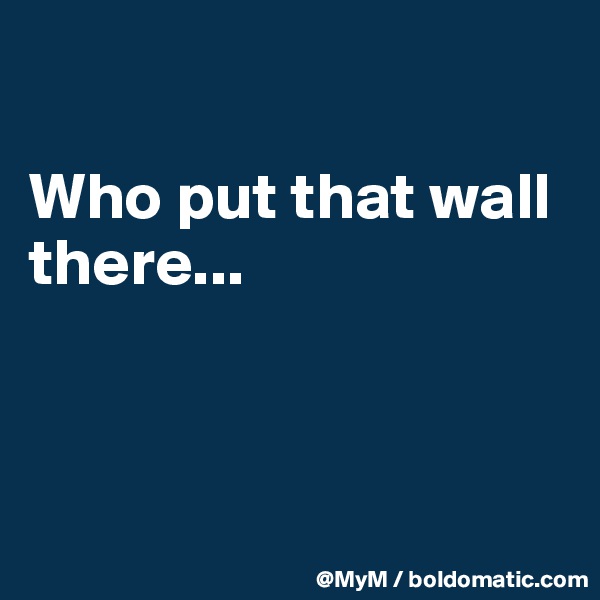 

Who put that wall there...



