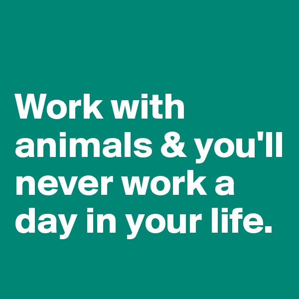 

Work with animals & you'll never work a day in your life.