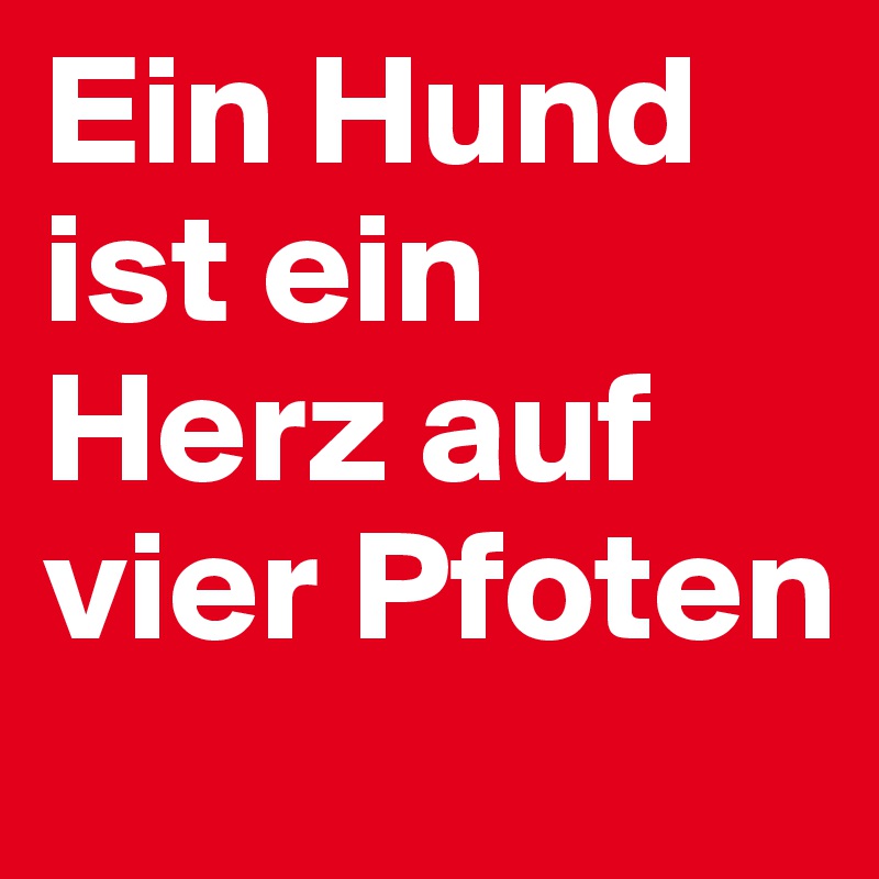 Ein Hund ist ein Herz auf vier Pfoten