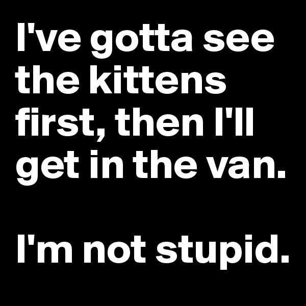 I've gotta see the kittens first, then I'll get in the van. 

I'm not stupid.