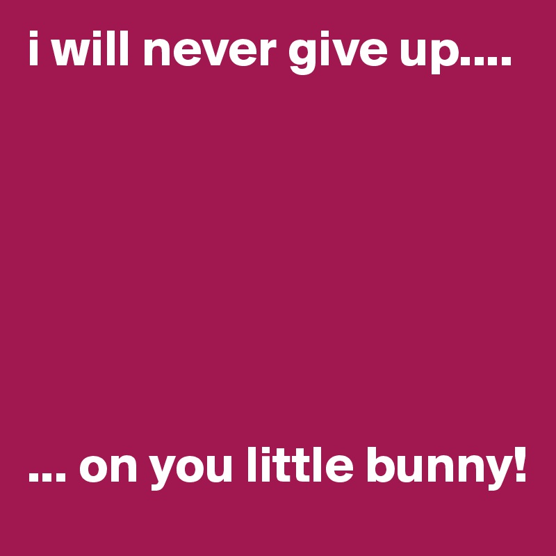i will never give up....







... on you little bunny!