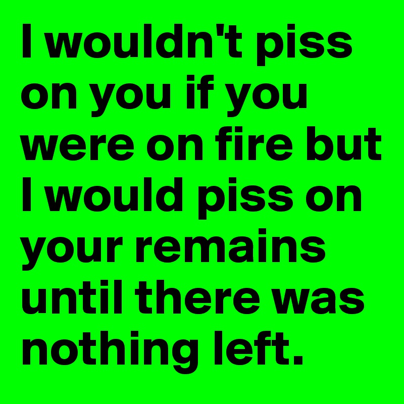I wouldn't piss on you if you were on fire but I would piss on your remains until there was nothing left. 