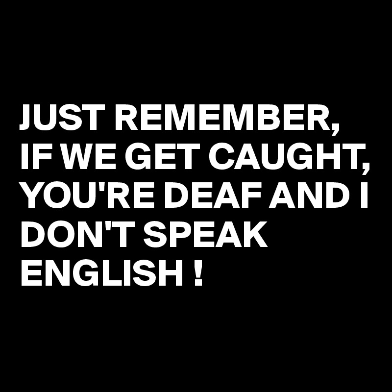 

JUST REMEMBER, IF WE GET CAUGHT, 
YOU'RE DEAF AND I DON'T SPEAK ENGLISH !
