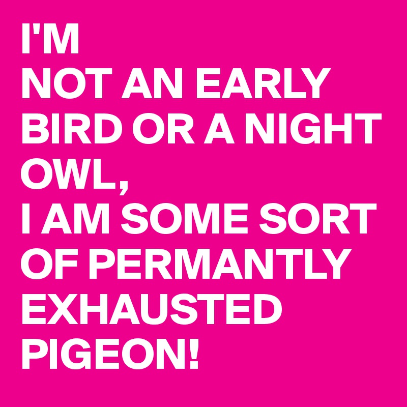 I'M 
NOT AN EARLY BIRD OR A NIGHT OWL,
I AM SOME SORT OF PERMANTLY EXHAUSTED PIGEON!