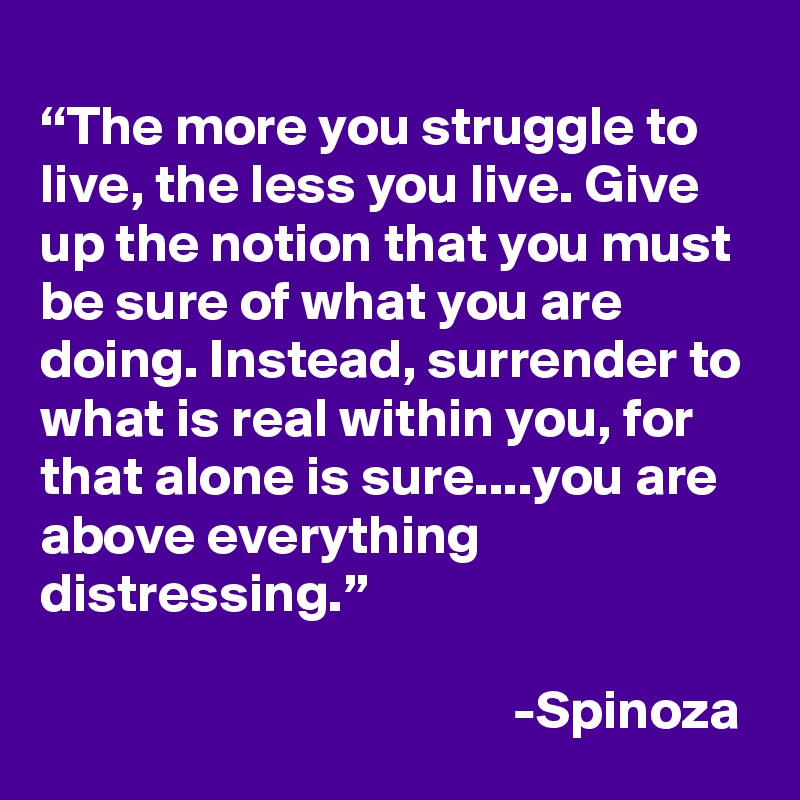 
“The more you struggle to live, the less you live. Give up the notion that you must be sure of what you are doing. Instead, surrender to what is real within you, for that alone is sure....you are above everything distressing.”
    
                                           -Spinoza 