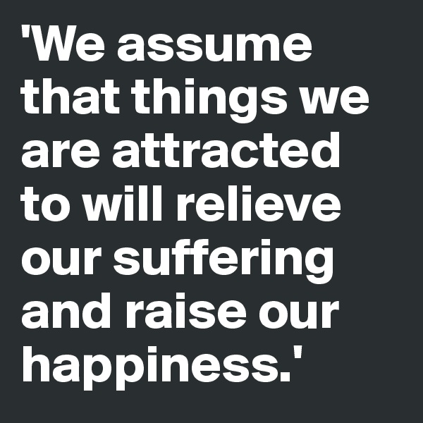 'We assume that things we are attracted to will relieve our suffering and raise our happiness.'