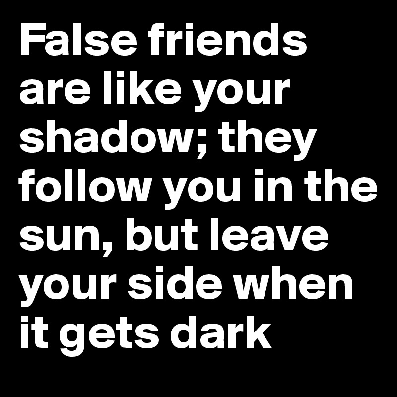 False friends are like your shadow; they follow you in the sun, but leave your side when it gets dark