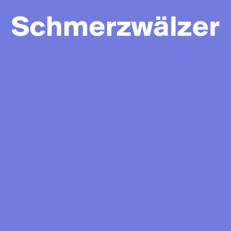 Schmerzwälzer






