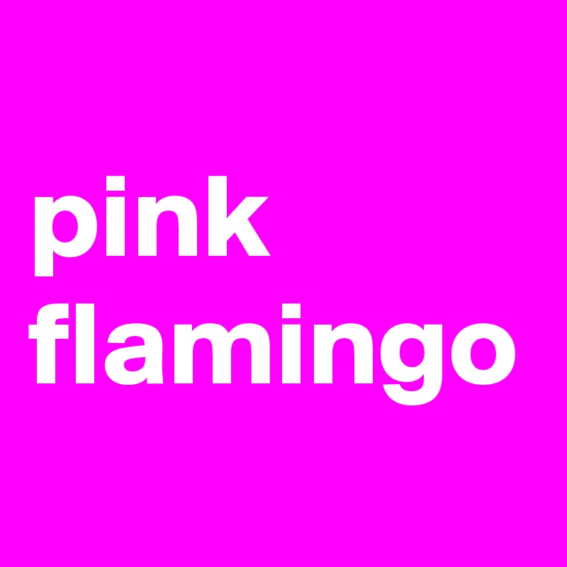 
pink flamingo