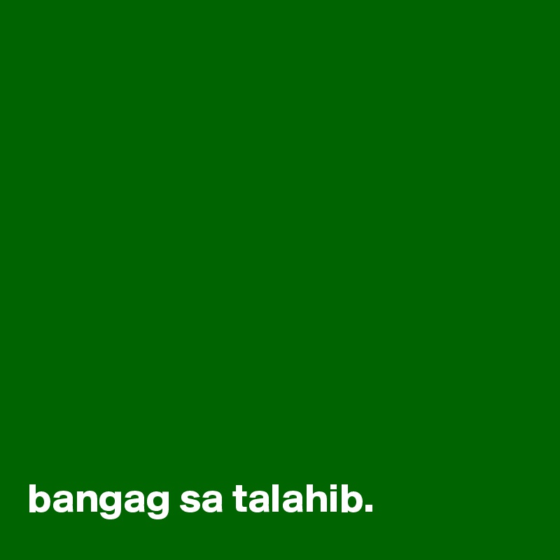 










bangag sa talahib.