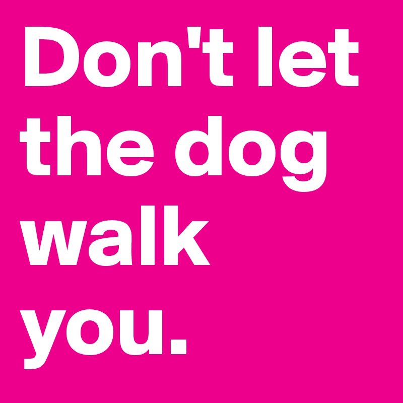 Don't let the dog walk you.