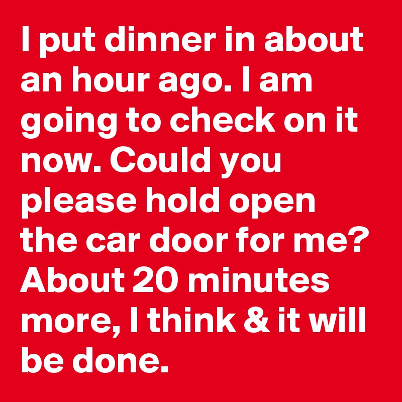 I put dinner in about an hour ago. I am going to check on it now. Could you please hold open the car door for me? About 20 minutes more, I think & it will be done.