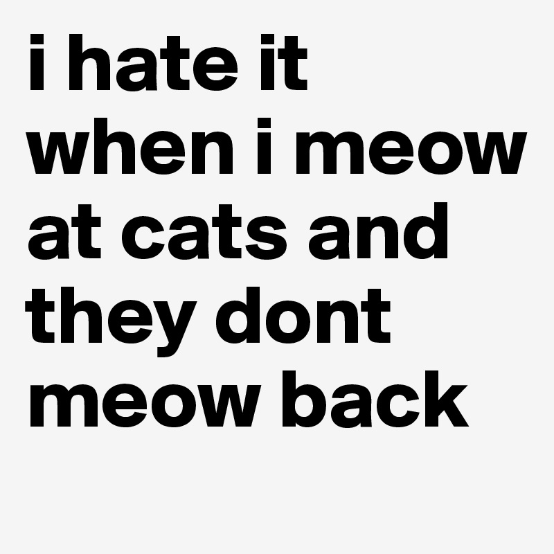 i hate it when i meow at cats and they dont meow back