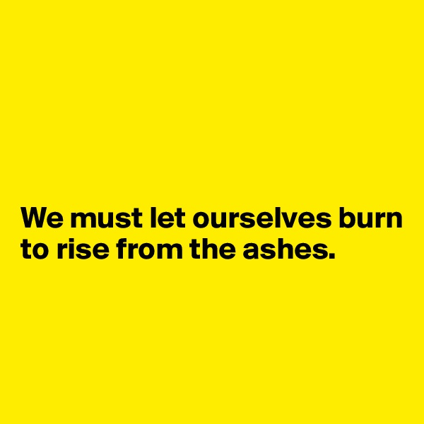 





We must let ourselves burn
to rise from the ashes.



