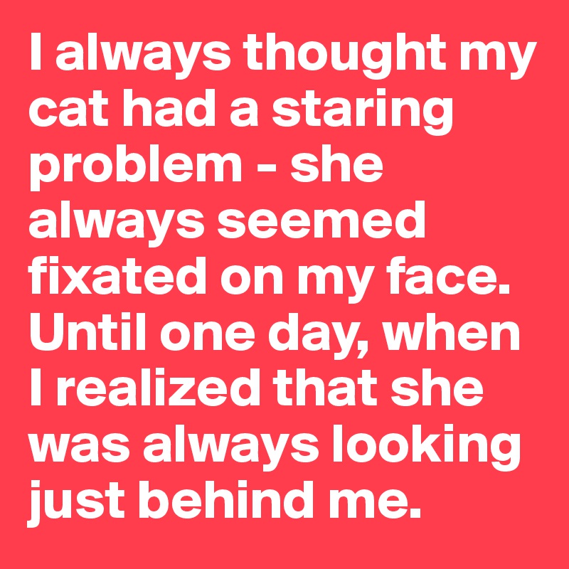 I always thought my cat had a staring problem - she always seemed fixated on my face. Until one day, when I realized that she was always looking just behind me.