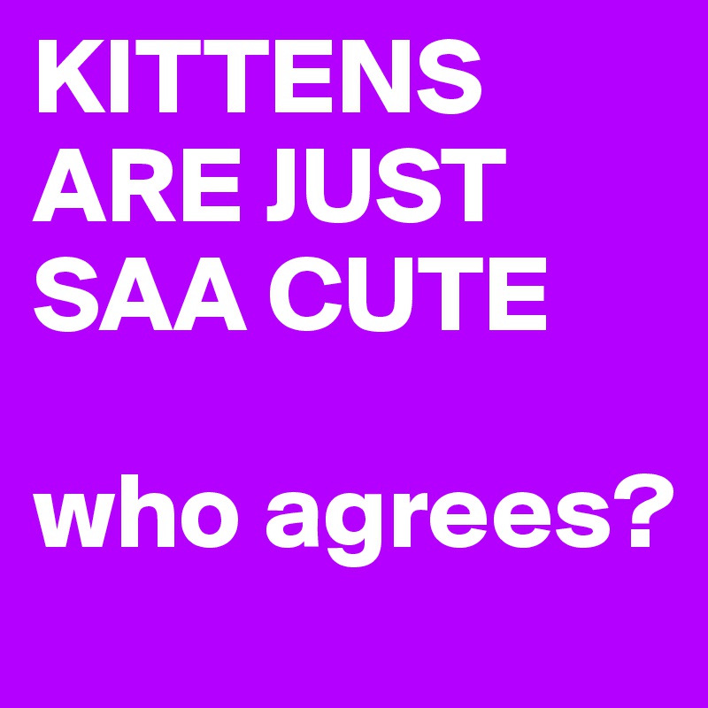 KITTENS ARE JUST SAA CUTE 

who agrees?