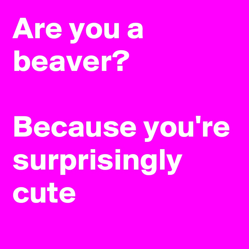Are you a beaver?

Because you're surprisingly cute