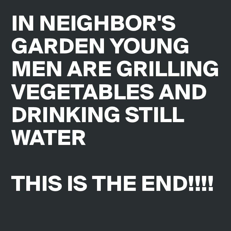 IN NEIGHBOR'S GARDEN YOUNG MEN ARE GRILLING VEGETABLES AND DRINKING STILL WATER

THIS IS THE END!!!!