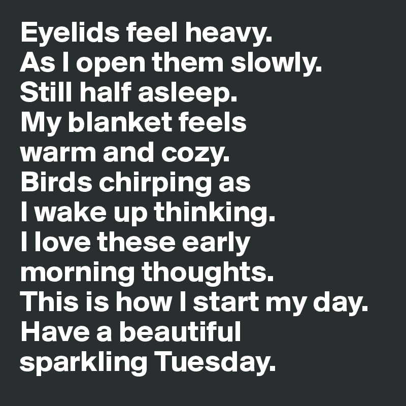 Eyelids feel heavy. 
As I open them slowly. 
Still half asleep. 
My blanket feels 
warm and cozy. 
Birds chirping as 
I wake up thinking. 
I love these early 
morning thoughts. 
This is how I start my day. Have a beautiful 
sparkling Tuesday.