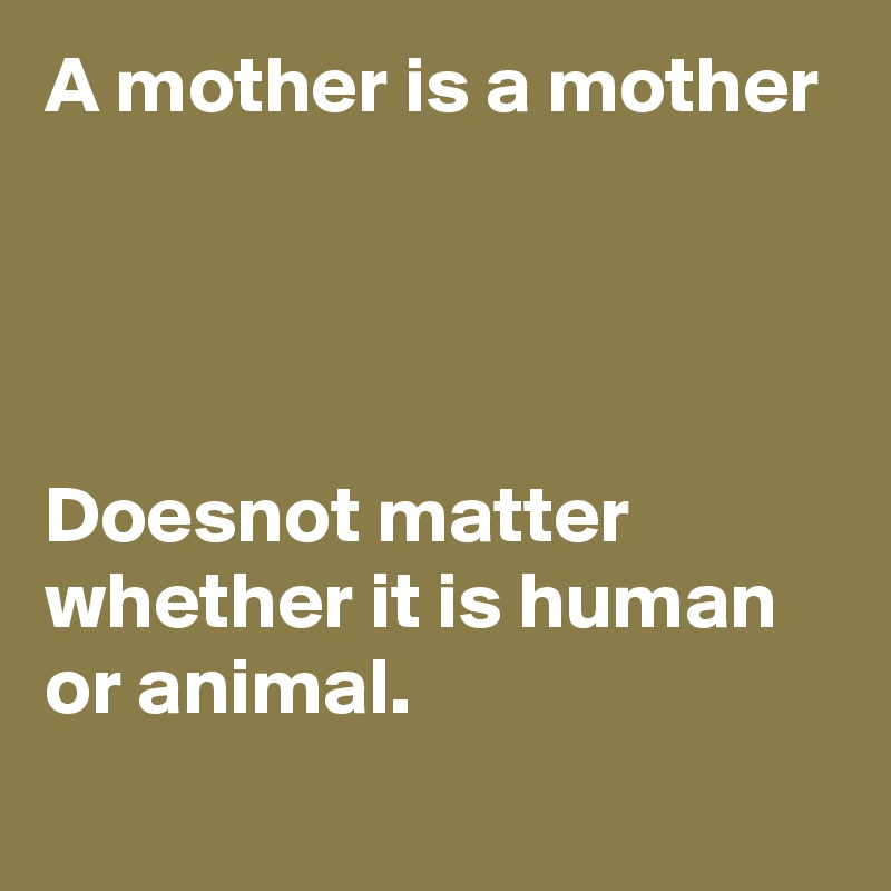 A mother is a mother




Doesnot matter whether it is human or animal.
