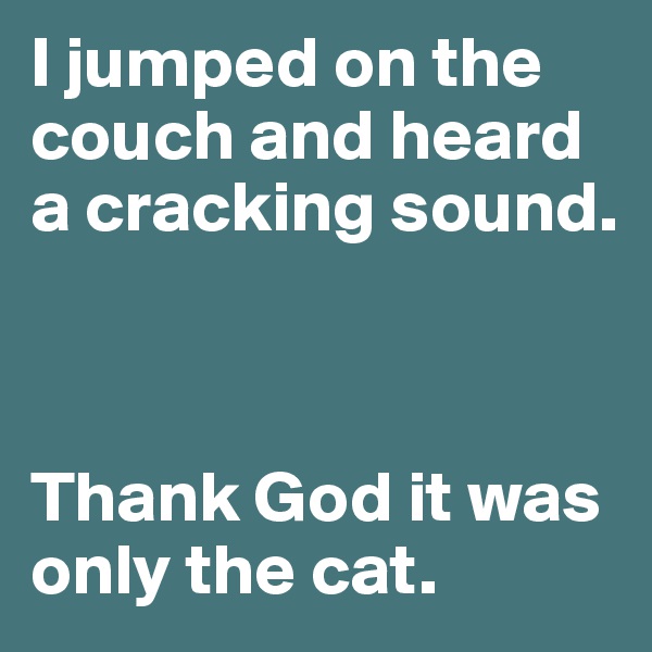 I jumped on the couch and heard a cracking sound.



Thank God it was only the cat. 