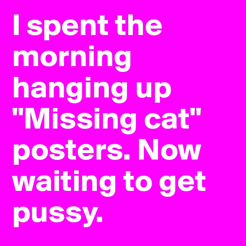 I spent the morning hanging up "Missing cat" posters. Now waiting to get pussy.