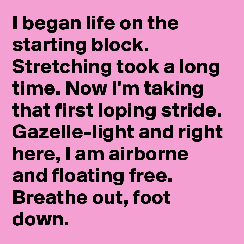 I began life on the starting block. Stretching took a long time. Now I'm taking that first loping stride. Gazelle-light and right here, I am airborne and floating free. Breathe out, foot down. 