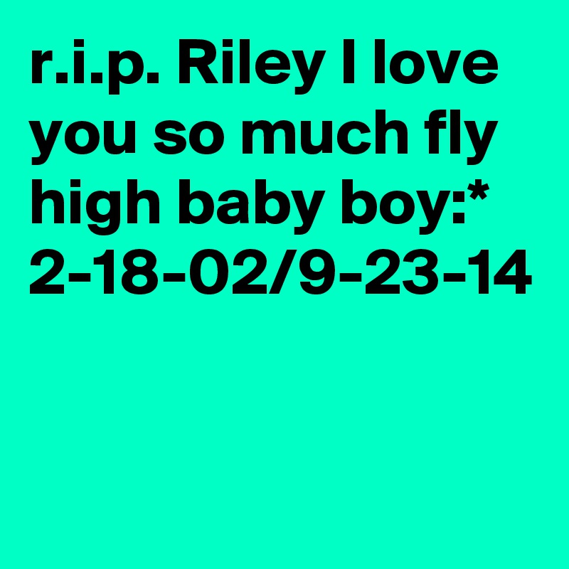 R I P Riley I Love You So Much Fly High Baby Boy 2 18 02 9 23 14 Post By Callie43 On Boldomatic