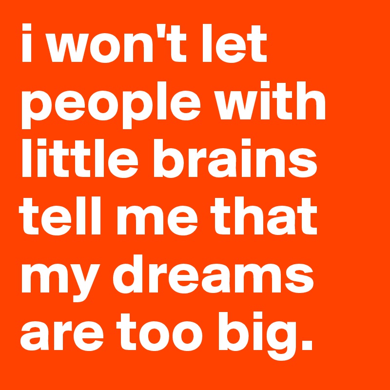 i won't let people with little brains tell me that my dreams are too big. 