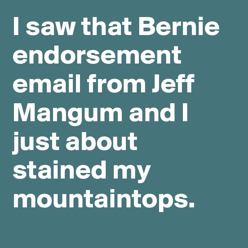 I saw that Bernie endorsement email from Jeff Mangum and I just about stained my mountaintops.