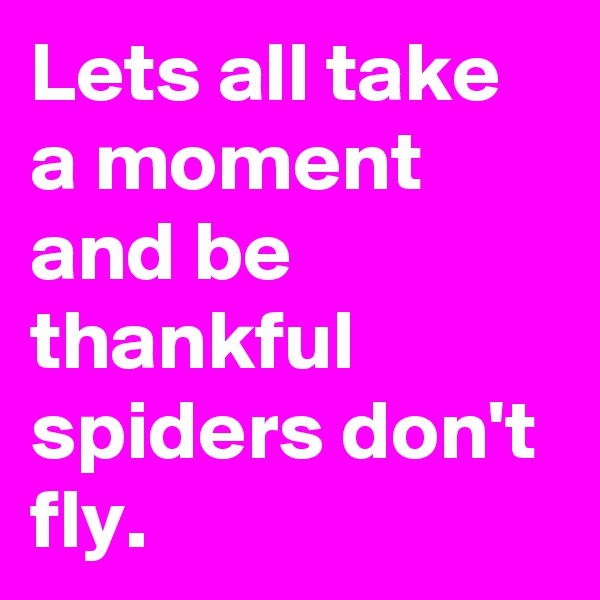 Lets all take a moment and be thankful spiders don't fly. 