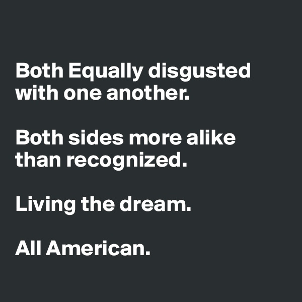 

Both Equally disgusted 
with one another. 

Both sides more alike 
than recognized. 

Living the dream. 

All American. 
