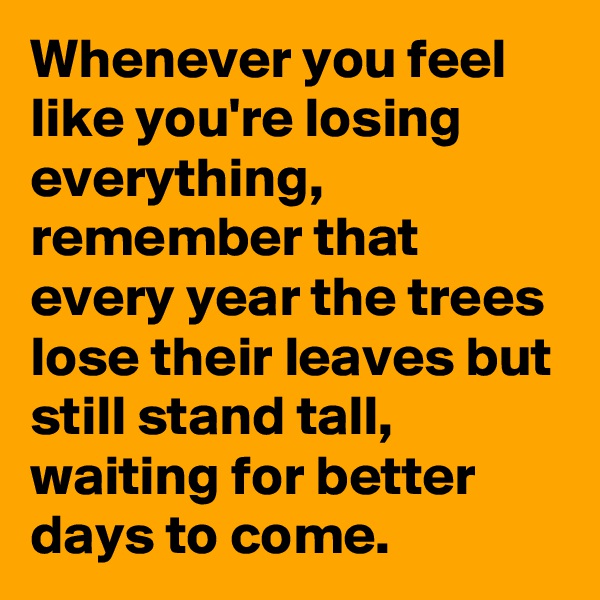 Whenever you feel like you're losing everything, remember that every year the trees lose their leaves but still stand tall, waiting for better days to come.