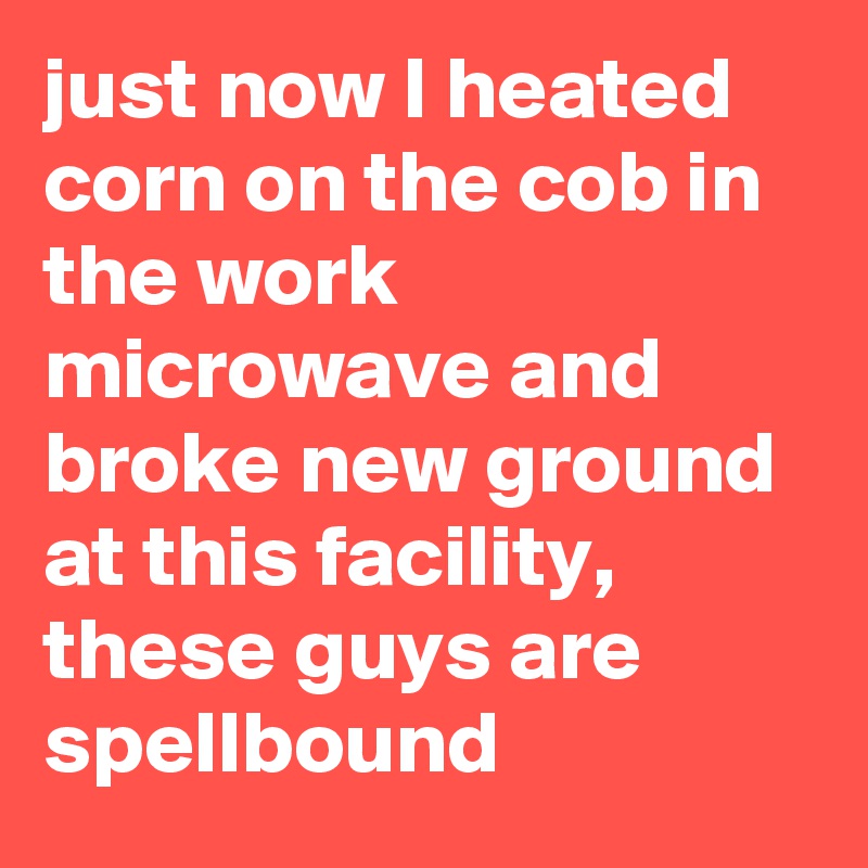 just now I heated corn on the cob in the work microwave and broke new ground at this facility, these guys are spellbound