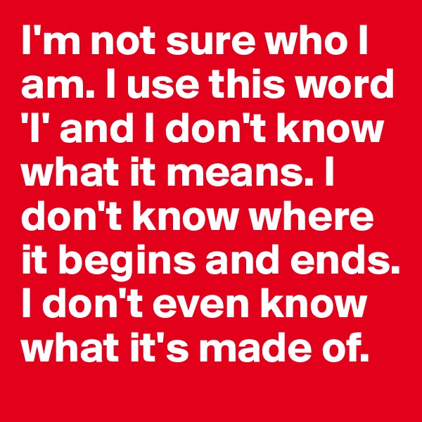 I'm not sure who I am. I use this word 'I' and I don't know what it means. I don't know where it begins and ends. I don't even know what it's made of.
