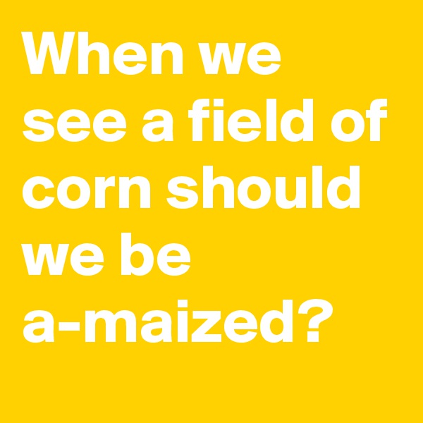 When we see a field of corn should we be a-maized?