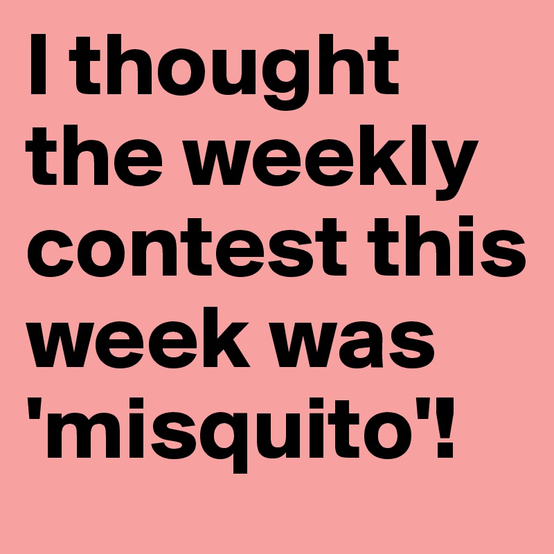 I thought the weekly contest this week was 
'misquito'!