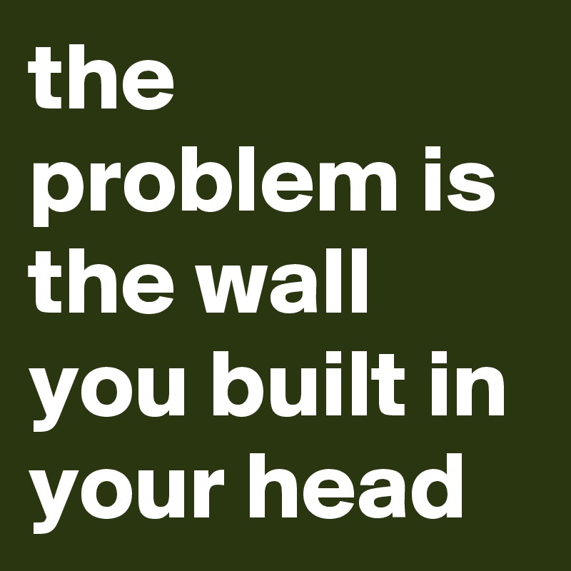 the problem is the wall you built in your head