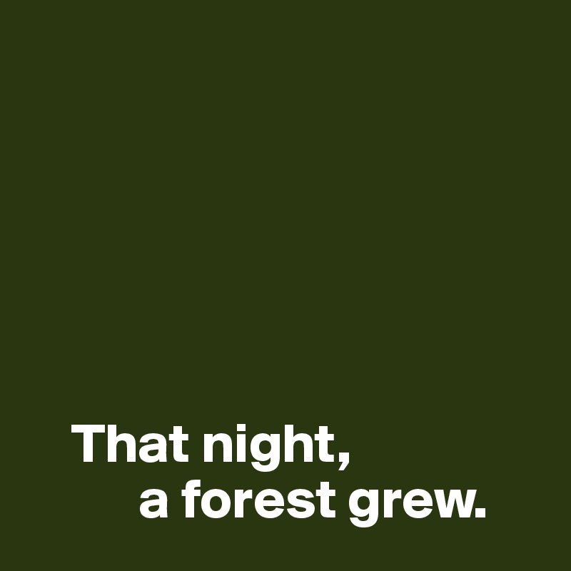 





    
    That night,
          a forest grew.