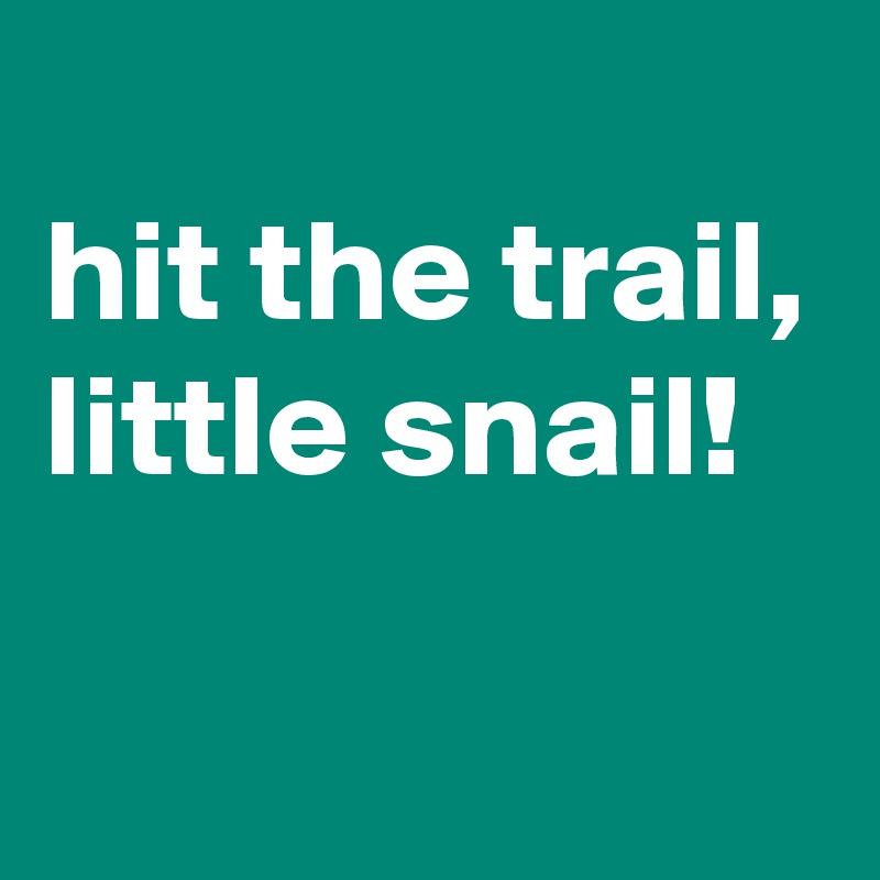 
hit the trail, little snail!

