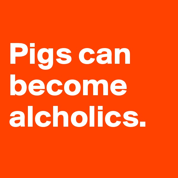 
Pigs can become alcholics.
