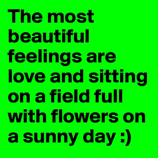 The most beautiful feelings are love and sitting on a field full with flowers on a sunny day :)