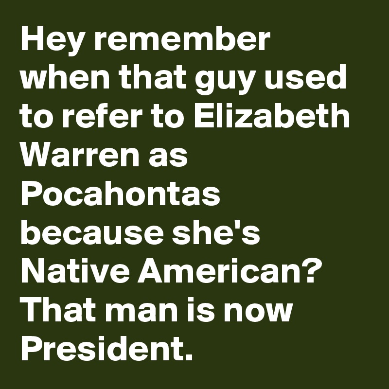 Hey remember when that guy used to refer to Elizabeth Warren as Pocahontas because she's Native American? That man is now President.