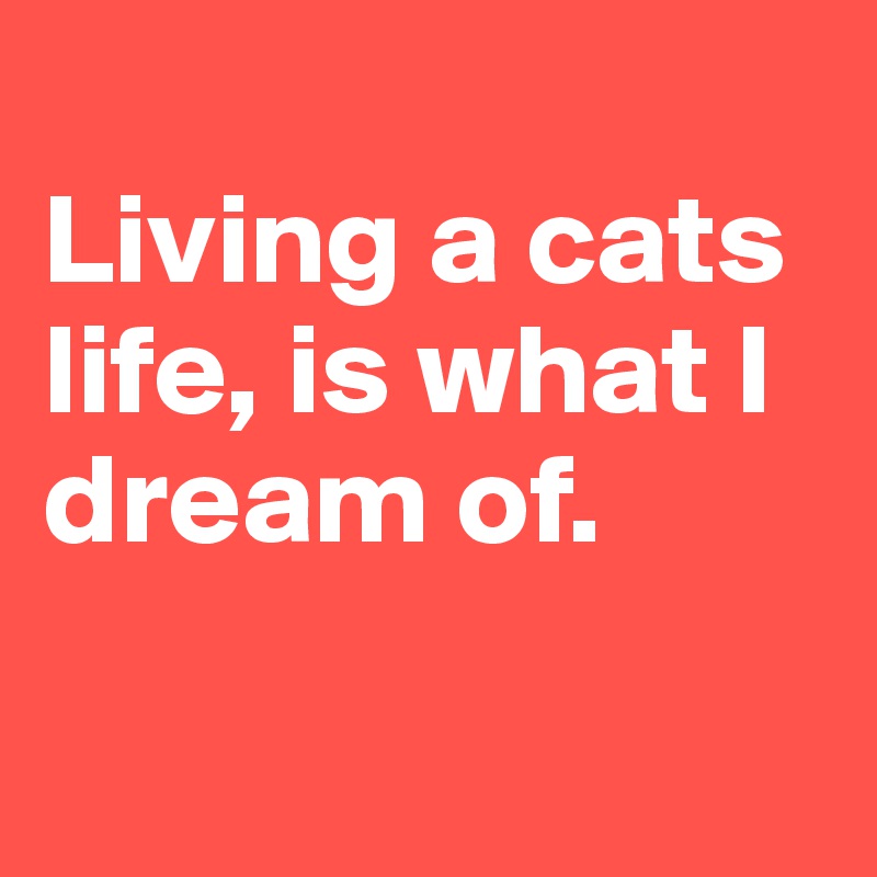
Living a cats life, is what I dream of.

