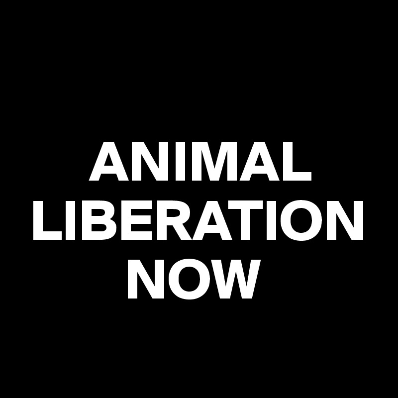 

      ANIMAL   
 LIBERATION 
         NOW

