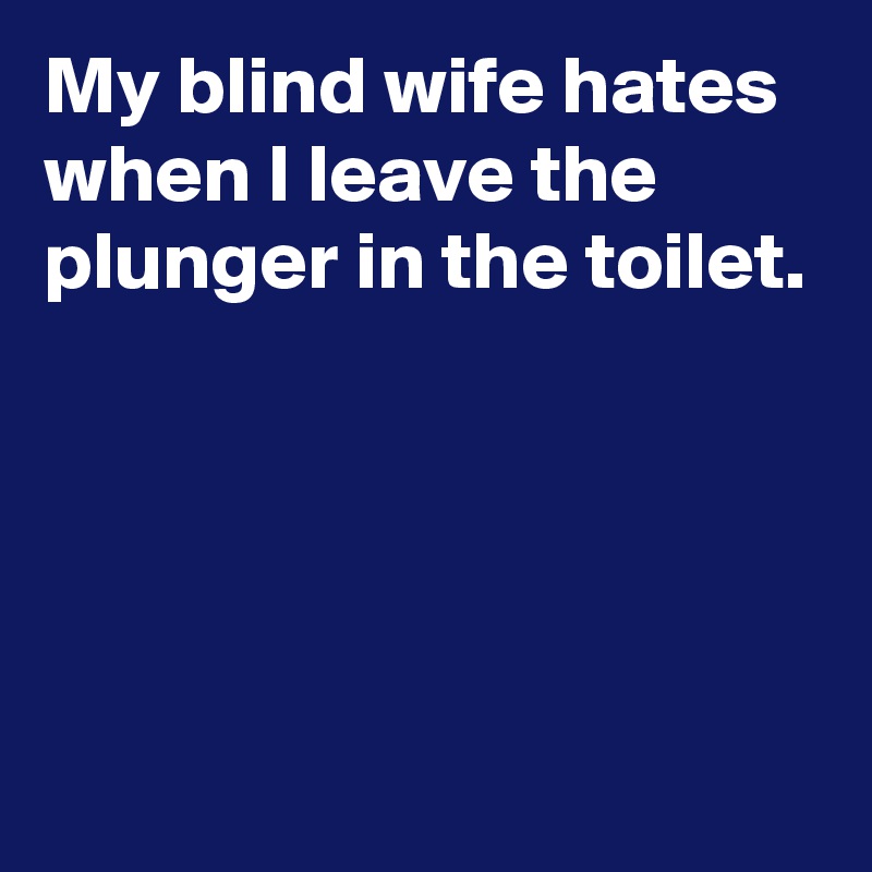 My blind wife hates when I leave the plunger in the toilet.




