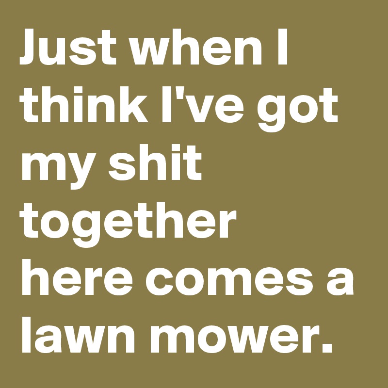 Just when I think I've got my shit together here comes a lawn mower.